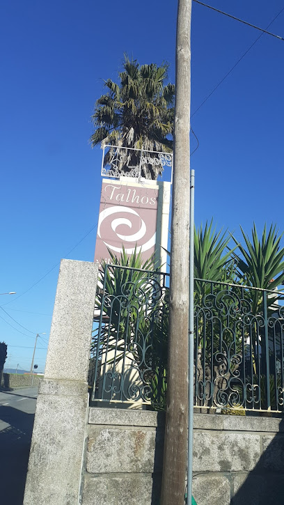 Talho vila Ch&atilde;- Carvalhal